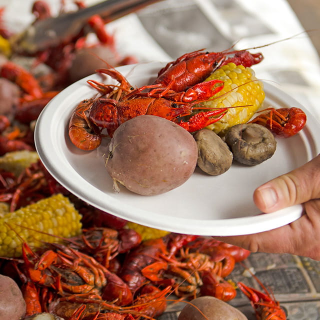 Seafood Boils Collection