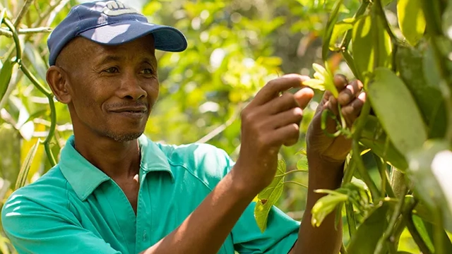 Ethical Supply Chains