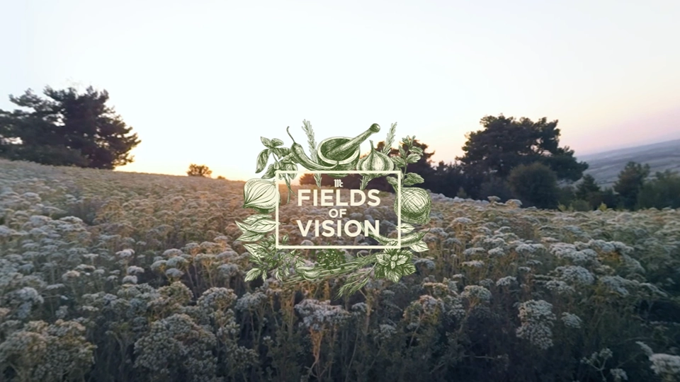 Explore the Oregano fields of Turkey during harvest and meet Fatma.