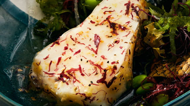 Oceanic Looking Glass Sea Bass