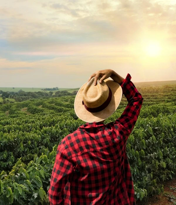 Présentation programme PLP McCormick​