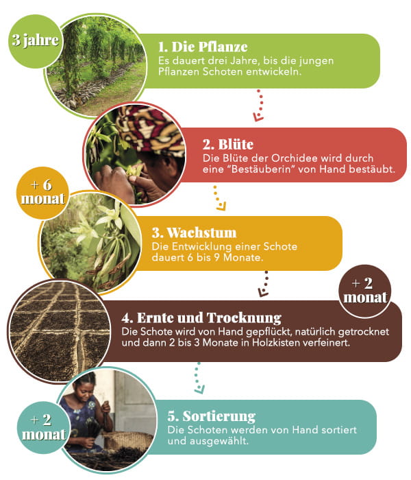 de_schema_culture_vanille_desk_1200x500_v1