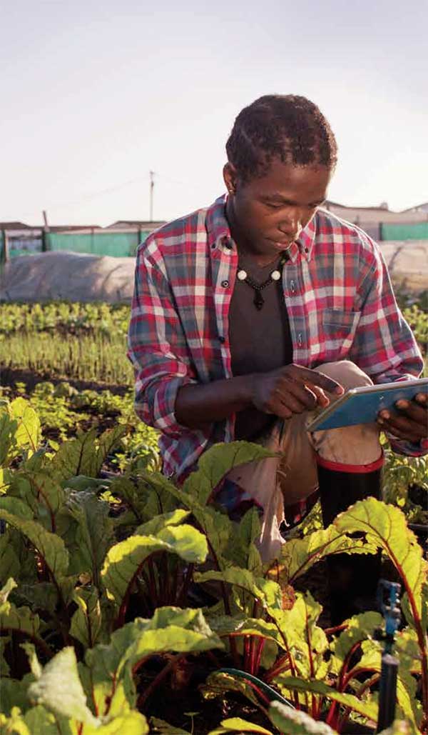 Our Flavor Forecast Sustainability