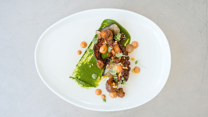 Harissa Glazed Spanish Octopus