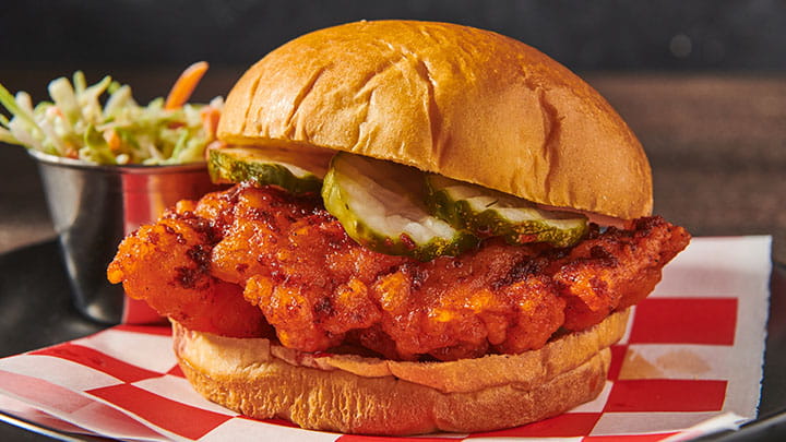nashville hot chicken sandwich