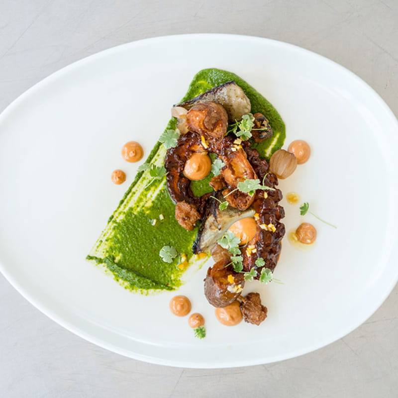 Harissa Glazed Spanish Octopus