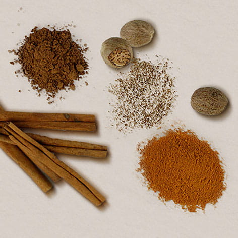 Turmeric Cocoa Cinnamon and Nutmeg Blend